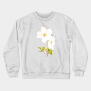 white hellebore flowers ink and watercolor Crewneck Sweatshirt